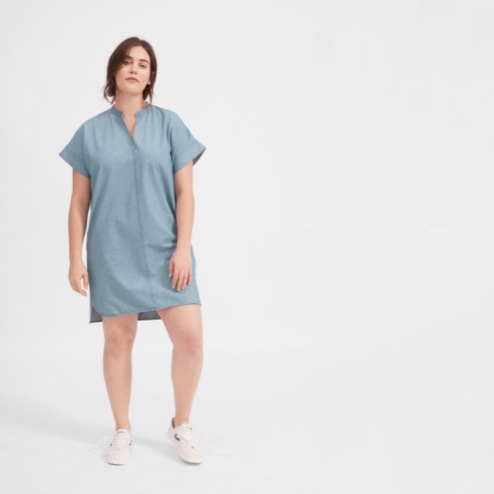 Everlane Splitneck Denim Dress